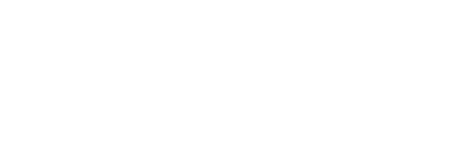 NE-logo-riello-service-center-blanco