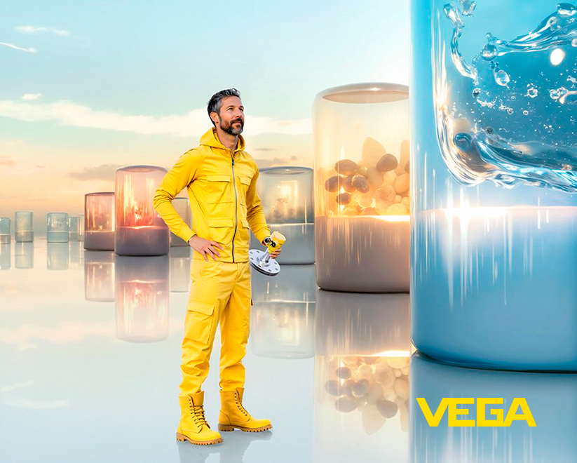 VEGA-portada