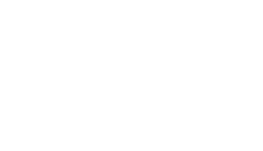 borri-logo-blanco