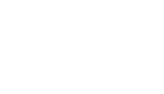 nexgrid-logo-blanco copy