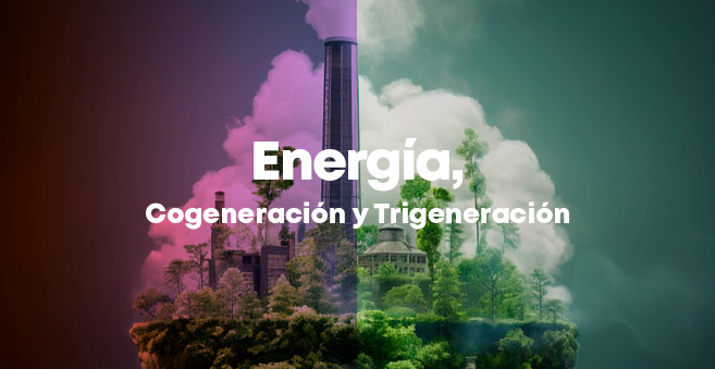 ENERGIA-COGENERACION