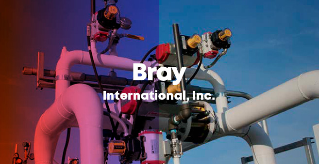bray-1